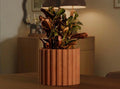 Modern Ribbed Planter | 3D Printed Succulent Pot, Minimalist Desk Decor